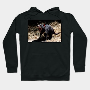 Devil's Roar Hoodie